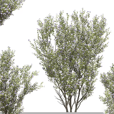Lush Green Arbor With Purple Flowers And Dense Foliage In Natural Scene 3d model