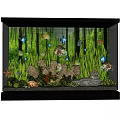 Colorful Freshwater Aquarium with Fish Aquatic Plants Rocks and Starfish Decorations