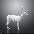 White Deer 3D Model with Geometric Lines on Dark Background and Reflection