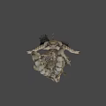 Skeletal Dragon Game Movie Character With Metallic Structure And Intricate Bones