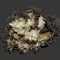 Artistic Intricate Handcrafted Conch Shaped Sculpture With Brown White Black Texture