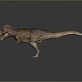 Tyrannosaurus Rex Dinosaur Red Head Open Mouth Textured Skin Standing On Dark Background Reflection