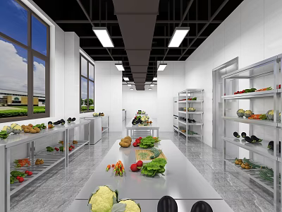 Spacious Commercial Kitchen Interior With Stainless Steel Countertop Fresh Produce And Storage Shelves 3d model