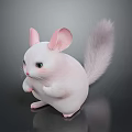 Cute White Chinchilla with Pink Ears Fluffy Tail Standing on Dark Background