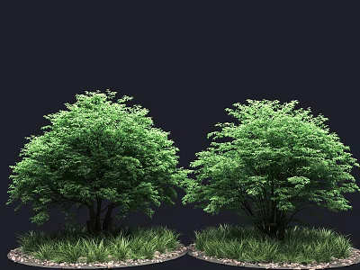 Two Lush Green Trees With Surrounding Grass And Small Pebbles In Outdoor Setting 3d model