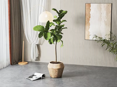 Leafy Potted Plant In Woven Basket For Indoor Decor With Striped Wall And Floor Lamp 3d model