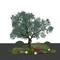 Olive Tree Plant Combination With Bushes Flowers Stones Small Lights And Gravel