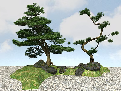 Two Pine Trees With Different Shapes Surrounded By Rocks And Green Grass Under Blue Sky 3d model