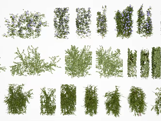 modern vine plants flowers and plants 3d model