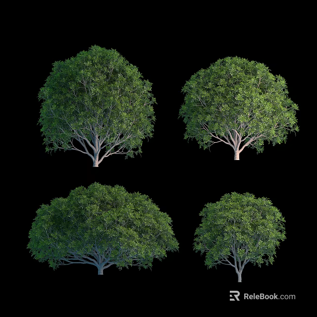 Four Green Leafy Shrubs With Rounded Canopies Isolated On Black Background 3d model