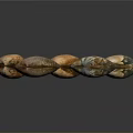 Shell Scallop Mussel Sea Animal Game Animal Cartoon Character Game Character 3d model