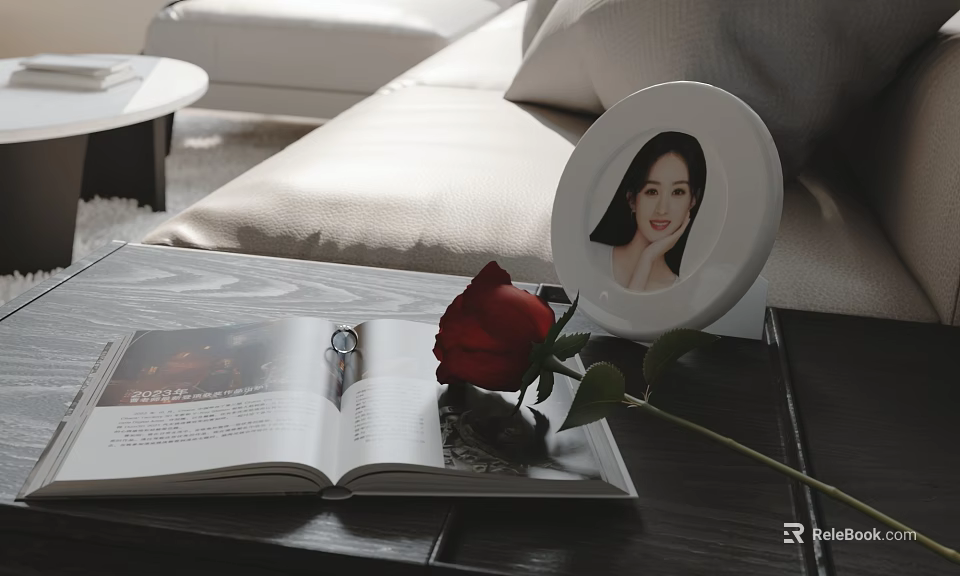 Red Rose Flower on Living Room Table Next to Open Magazine and White Photo Frame 3d model 