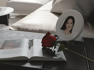 Red Rose Flower on Living Room Table Next to Open Magazine and White Photo Frame 3d model