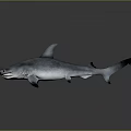 Realistic Hammerhead Shark 3D Rendering With Grey Body Open Mouth And Shiny Surface