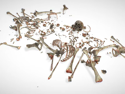 Scattered Ancient Creature Skeleton Remains With Skull Broken Bones And Fragments 3d model