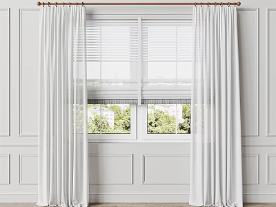 White Flowy Curtains With White Blinds And Green Plants By Window 3d model