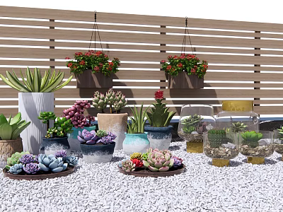 Various Colorful Bonsai Potted Plants with Hanging Planters on Wooden Background 3d model