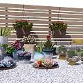 Various Colorful Bonsai Potted Plants with Hanging Planters on Wooden Background