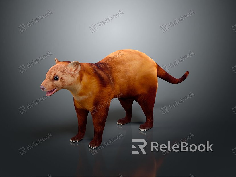 Mink Ferret Mink Smokie Cat Weasel Cartoon Smokie Cat Cartoon Weasel Cartoon Animal Cartoon Characters model