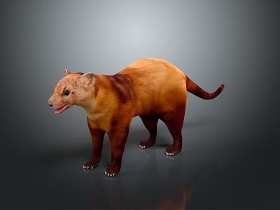 Mink Ferret Mink Smokie Cat Weasel Cartoon Smokie Cat Cartoon Weasel Cartoon Animal Cartoon Characters 3d model