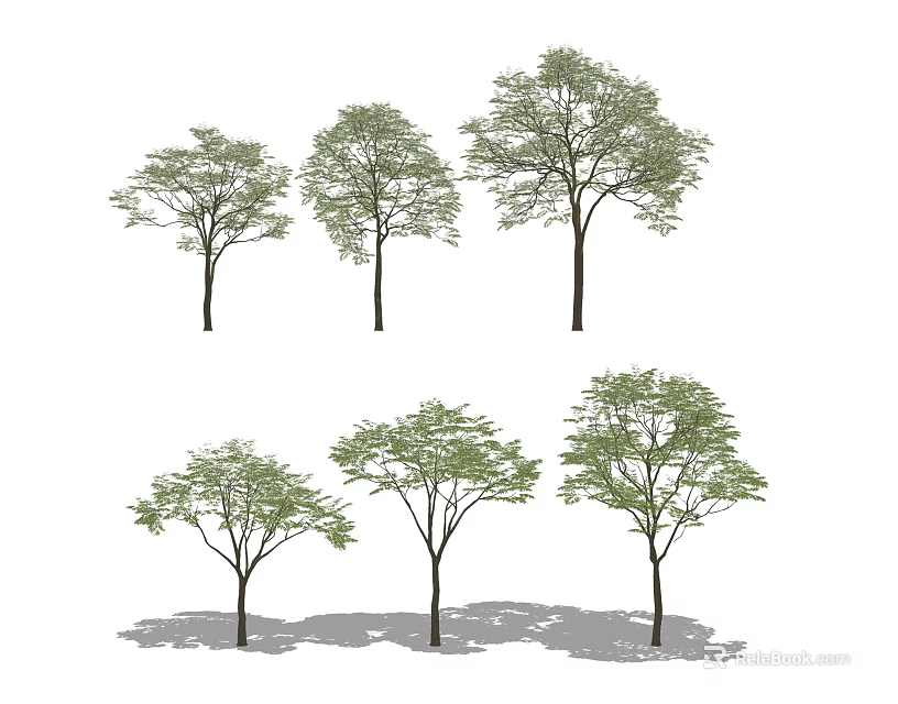 Diverse Arbor Tree Varieties With Green Foliage For Landscape Design 3d model