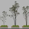 Decorative Tree Planters With Various Height Trees And Green Plant Base Design 3d model