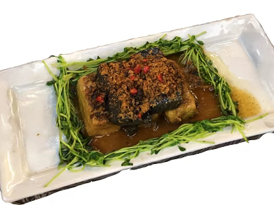 Braised Tofu With Red Chili Flakes And Fresh Green Garnish On White Rectangular Plate 3d model