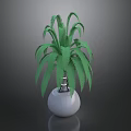 Elegant Floral Display With Green Plant In White Spherical Vase For Interior Decoration