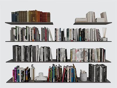 Assorted Books and Magazines on Neatly Arranged Multiple Bookshelves 3d model