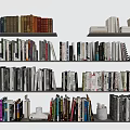 Assorted Books and Magazines on Neatly Arranged Multiple Bookshelves