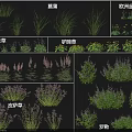 Various Flower and Grass Species Including Lanpu European Globeflower and Basil