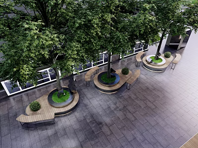 Circular Tree Planters With Green Trees And Surrounding Benches In Urban Square 3d model
