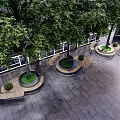 Circular Tree Planters With Green Trees And Surrounding Benches In Urban Square