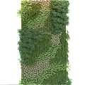 Lush Living Plant Wall Vertical Garden Design With Various Green Plants And Natural Mossy Textures