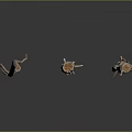 Dried Plant Branches with Natural Texture for Home Decor on Smooth Dark Surface