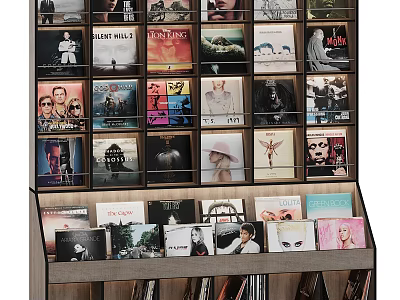 Modern Bookshelf Display With Colorful Record Covers And Organized Book Arrangement 3d model