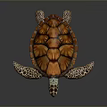 Colorful Sea Turtle with orange and brown patterned shell on black background and shiny reflection 3d model