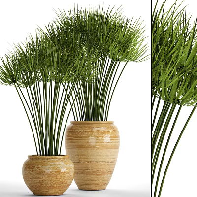 Green Potted Plants with Long Slender Leaves in Ceramic Pots for Home Decor 3d model