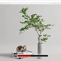 Concrete Vase with Lush Green Plant on Stack of Books and Metallic Decor
