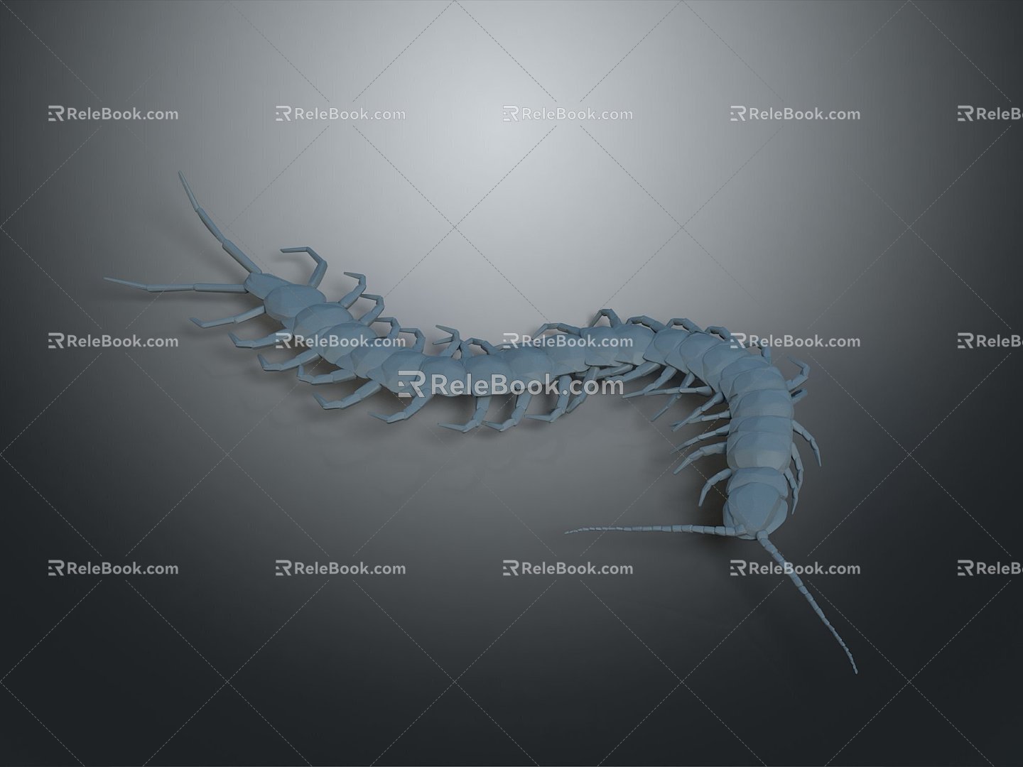 Centipede millipede spider ladybug cartoon centipede animation centipede animation centipede animation character 3d model