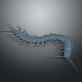 Centipede millipede spider ladybug cartoon centipede animation centipede animation centipede animation character 3d model