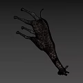 Realistic Giraffe 3D Model With Brown White Spots And Long Neck Standing On Black Background