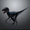 Dynamic Realistic Gray Velociraptor With Blue Stripes Open Mouth Sharp Teeth Posing 3d model
