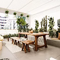 Modern Home Balcony Design With Lush Green Plants Wooden Table And Natural Light
