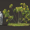 Two Human Silhouettes Standing Beside Tree With Yellow Flowers And Grass Patch 3d model