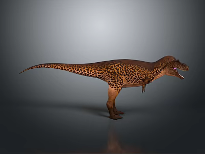 Tyrannosaurus Rex Dinosaur Model With Spotted Skin Open Mouth And Tail On Gray Background 3d model