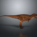 Tyrannosaurus Rex Dinosaur Model With Spotted Skin Open Mouth And Tail On Gray Background