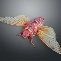 3D Rendered Red Cicada With Transparent Orange Veined Wings And Detailed Body Structure