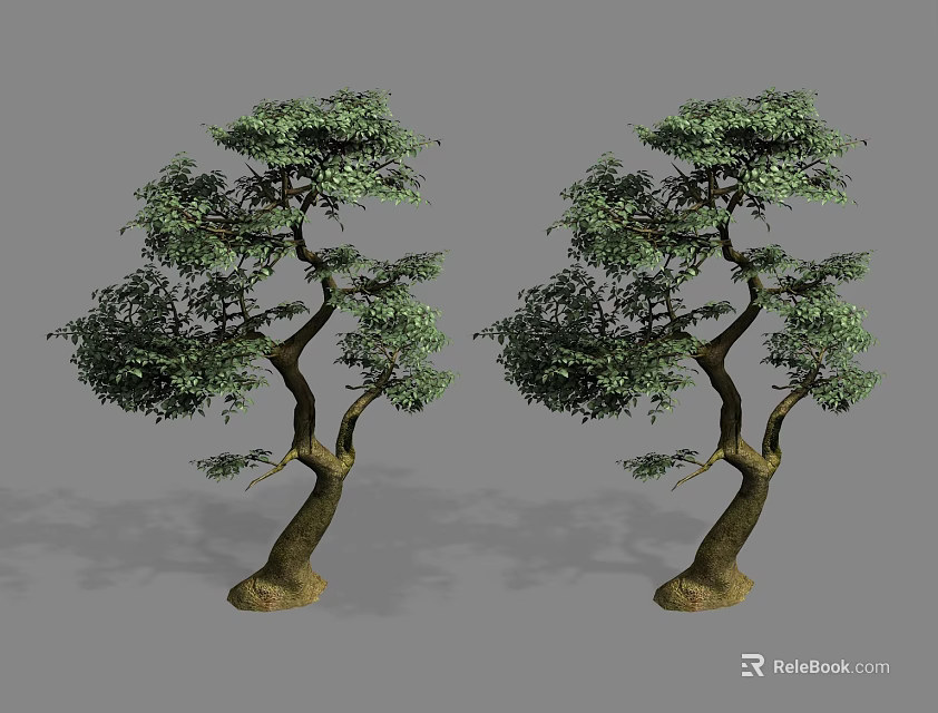 Pair of Decorative Trees With Curved Trunks And Lush Green Foliage 3d model 