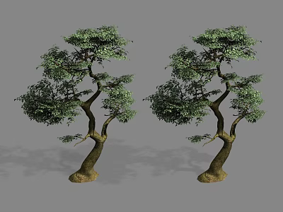 Pair of Decorative Trees With Curved Trunks And Lush Green Foliage 3d model